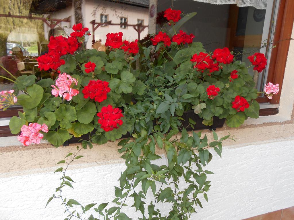 Gasthaus Traube Bichlbach Zewnętrze zdjęcie